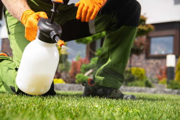 Best Pest Control Near Me  in Harrington, DE