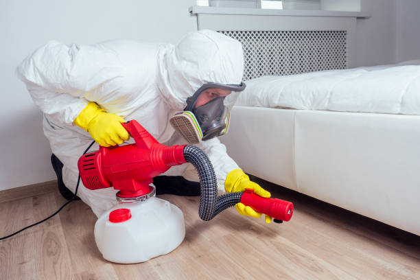 Best Bed Bug Extermination  in Harrington, DE