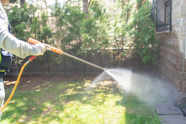 Best Wasp Removal Services  in Harrington, DE