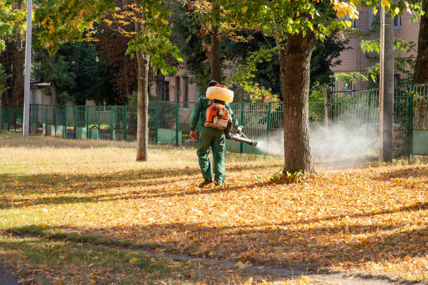 Best Bird Control  in Harrington, DE