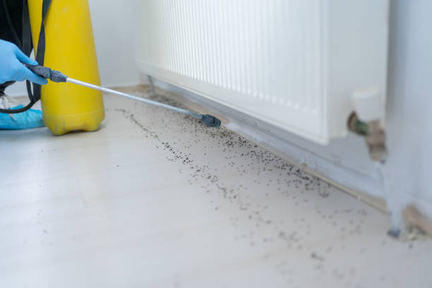 Best Commercial Pest Control Services  in Harrington, DE