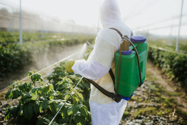 Best Pest Prevention Services  in Harrington, DE